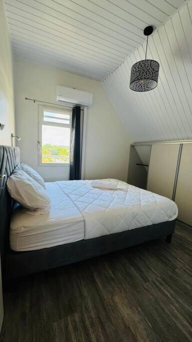 T2 Le Cosy, Au Coeur De Montjoly, Parking, Clim Apartman Remire-Montjoly Kültér fotó